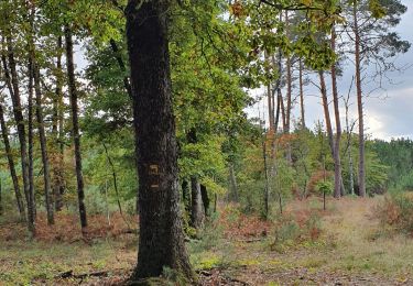 Trail Walking Choussy - Choussy  parcours  1 - Photo