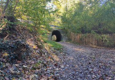 Tour Wandern Palaiseau - Lozère - Photo