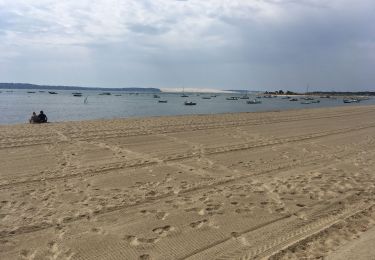 Trail Walking Arcachon - Cap Ferret  - Photo