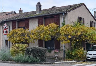 Randonnée Marche Fontenoy-sur-Moselle - Fontenoy Bois Essarte - Photo