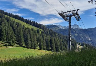 Tour Wandern Arâches-la-Frasse - Lac d'Airon - Photo