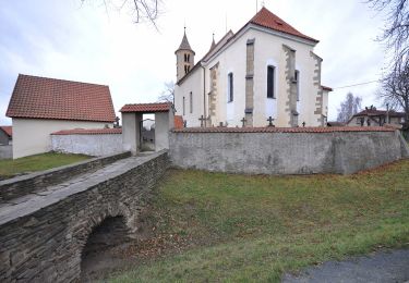 Excursión A pie Kondrac - NS S rytířem na Blaník - Photo