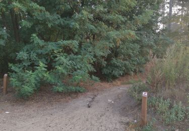 Trail Walking Herentals - boomshakalaka - Photo