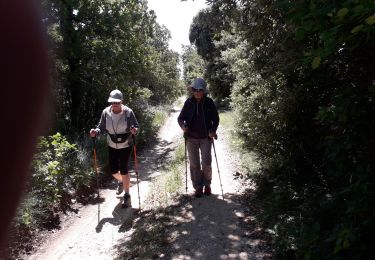 Tour Wandern Réauville - reau 08 06 20 - Photo