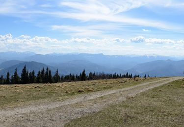 Tocht Te voet Gemeinde Kleinzell - Kleinzell - Reisalpe - Photo