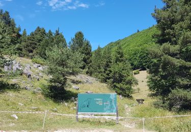 Percorso Bicicletta elettrica Châtillon-en-Diois - Vallon de Combeau - Photo