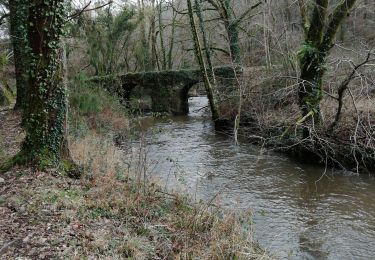 Tocht Stappen Chéronnac - moulin du pont - Photo