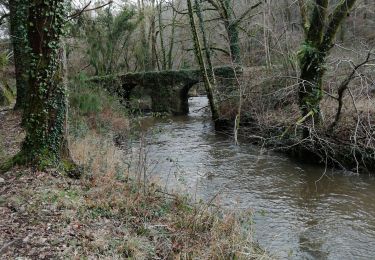 Excursión Senderismo Chéronnac - moulin du pont - Photo