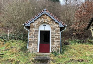 Tocht Te voet Altenahr - Sahrbachweg - Photo