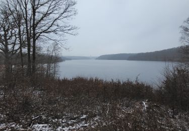 Trail Walking Jalhay - Tour lac de la Gileppe (carrés verts) - Photo