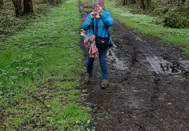 Trail Walking Lobbes - Bois du Baron 30 03 24 - Photo