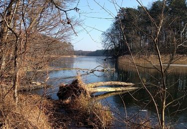 Tocht Te voet Wandlitz - Rund um Hellsee Grüner Punkt - Photo