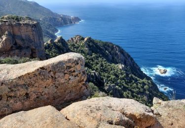 Randonnée Marche Piana - Calanches de Piana châtaigneraie de Palani château de Piana chemin muletiers  - Photo