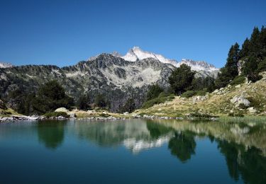 Tocht Te voet Vielle-Aure - Col de Bastanet et Pic de Bastan - Photo