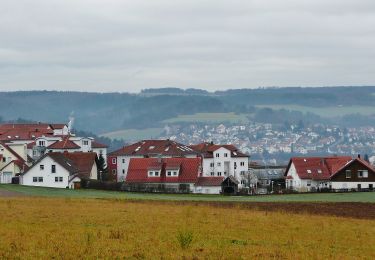 Trail On foot Grafenau - DE-SWV Gelbe Raute, Weil der Stadt Krappenberg - Döffingen Ulrichstein - Photo