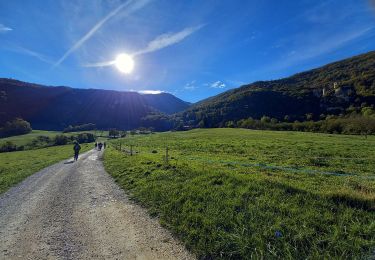Trail Walking Rochechinard - Chateau de Rochechinard - Photo