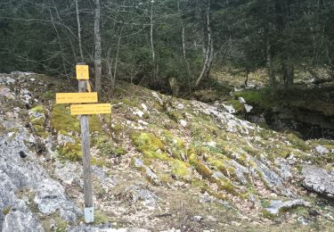 Trail Walking Saint-Pierre-d'Entremont - le Grand Manti au départ de Les Varlat en passant par L'Alpette de la Dame  - Photo