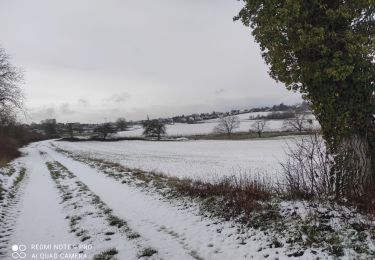Trail Walking Heimsbrunn - heimsbrunn - Photo