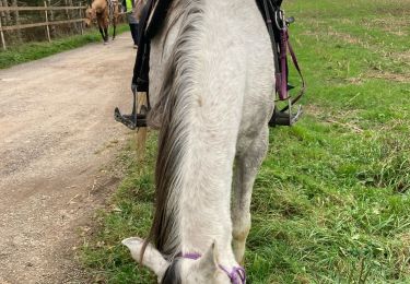 Percorso Equitazione Métairies-Saint-Quirin - Rond pré avec Lola et shine  - Photo