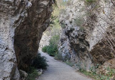 Tocht Stappen Cheval-Blanc - merindol - Photo