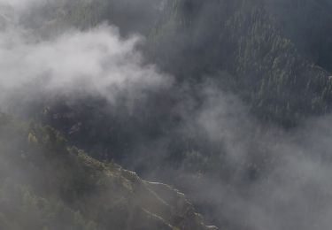 Excursión Senderismo Prads-Haute-Bléone - Prads-Haute-Bléone 3 pâturages  - Photo