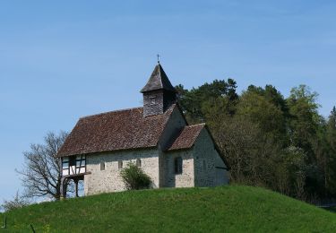 Tocht Te voet Hauptwil-Gottshaus - Hauptwil - Hudelmoos - Photo