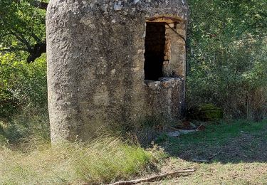 Trail Walking Forcalquier - Cereste - Photo