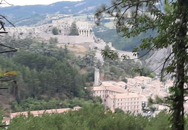 Trail Walking Sisteron - SISTERON.   Le Mollard . Col S Pierre o n  - Photo