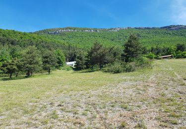 Trail Walking La Motte-Chalancon - montagne des  ruelles 6,6 kmd - Photo
