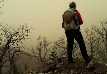 Trail Walking Le Gua - Ascension et tour de l'Epérimont - Photo