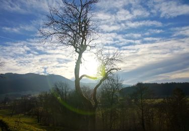 Tour Zu Fuß Langenwang - Wanderweg 732 - Photo