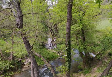 Tocht Stappen Entrecasteaux - entrecastaux / mentonne - Photo