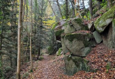 Tocht Stappen Royat - Oclede Montaudoux Artière_T - Photo