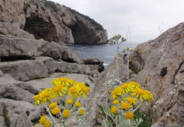 Excursión A pie Torroella de Montgrí - SL-C 20 Cala Pedrosa i Cala Feriol - Photo