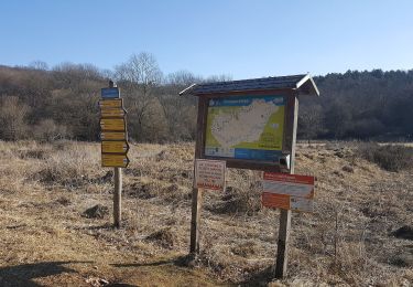 Randonnée A pied Aggtelek - Karsztbarlangok nyomában tematikus út - Photo