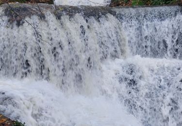 Trail Walking Vaire - Arcier - Photo