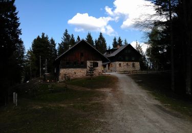 Tour Zu Fuß Maria Rast - Holcarska pot - Photo