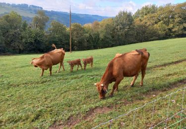 Percorso Marcia Estaing - Estaing / Golinhac - Photo