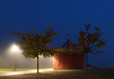 Randonnée A pied La Morra - Sentiero delle Grandi Vigne - Photo