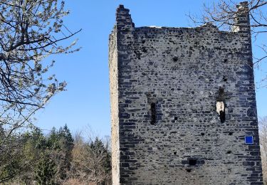 Tocht Stappen La Trinité - les Tours de Montmayeur  - Photo