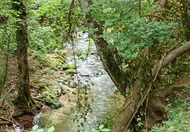 Randonnée Marche Buoux - Buoux - Sivergues - Aigue brun - Photo