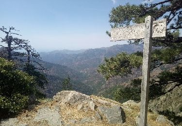 Tocht Stappen Manso - Col de Capronale - Photo