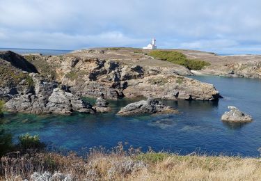 Tocht Stappen Sauzon - POINTE DES POULAINS - Photo