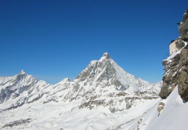 Percorso A piedi Valtournenche - Sentier Jean Antoine Carrel - 30 km - E/EE - Photo