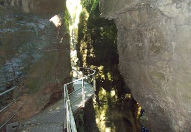 Tour Zu Fuß Borgo d'Anaunia - Sentiero attrezzato del Mondino - Photo