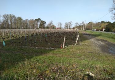 Excursión Marcha nórdica Saint-Selve - vers la ferme  - Photo