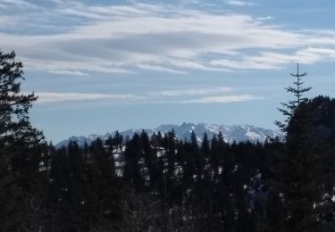 Excursión Raquetas de nieve Autrans-Méaudre en Vercors - 17-03-19  raquettes Autrans - Photo