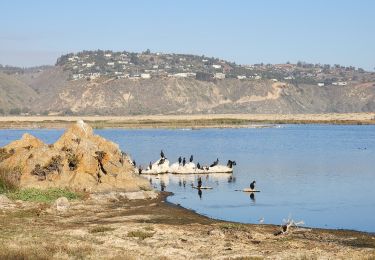 Trail Walking Algarrobo - playa de Tunquen - Photo