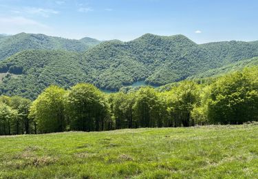 Trail Walking Urrotz - Leurtza  - Photo