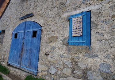 Randonnée Marche Seyne - tourtourel 860m 11.5kms - Photo